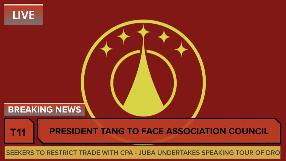 Sector president tang to face association council
